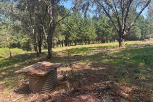 Agriculture,  Siri road, Russian River, CA 95446 - 12