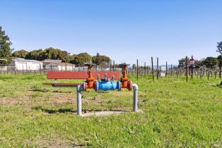 Residential Lot,  Los Carneros avenue, Napa, CA 94559 - 35