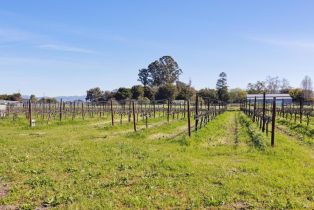 Residential Lot,  Los Carneros avenue, Napa, CA 94559 - 26