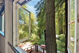 Single Family Residence,  Santa Rosa avenue, Russian River, CA 95446 - 21