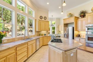 Single Family Residence,  Pepperwood road, Santa Rosa, CA 95409 - 6