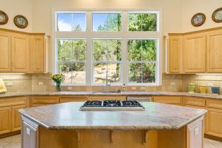 Single Family Residence,  Pepperwood road, Santa Rosa, CA 95409 - 5
