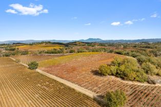 Agriculture,  River road, Russian River, CA 95436 - 5
