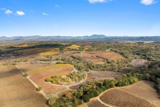 Agriculture,  River road, Russian River, CA 95436 - 14