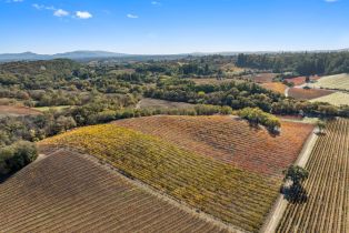 Agriculture,  River road, Russian River, CA 95436 - 12