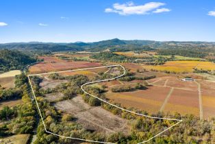 Agriculture,  River road, Russian River, CA 95436 - 13