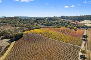 Agriculture,  River road, Russian River, CA 95436 - 9