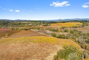 Agriculture,  River road, Russian River, CA 95436 - 4
