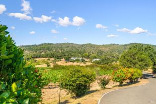 Single Family Residence,  Highway 12 none, Glen Ellen, CA 95442 - 65