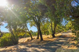 Single Family Residence,  Highway 12 none, Glen Ellen, CA 95442 - 58