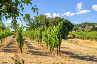 Single Family Residence,  Highway 12 none, Glen Ellen, CA 95442 - 66