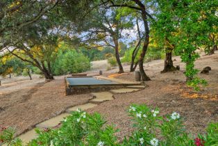Single Family Residence,  Highway 12 none, Glen Ellen, CA 95442 - 52