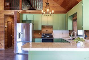 Single Family Residence,  Wild Horse Valley road, Napa, CA 94558 - 7