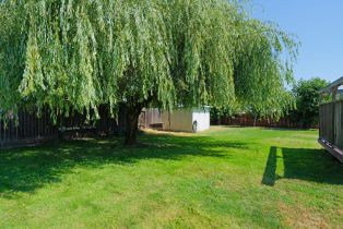 Single Family Residence, Haney drive, Santa Rosa, CA 95407 - 32