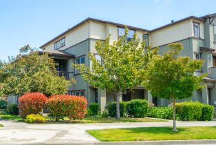 Townhouse,  Coleman Glen lane, Santa Rosa, CA 95404 - 53