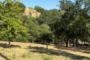 Residential Lot,  Healdsburg avenue, Healdsburg, CA 95448 - 2