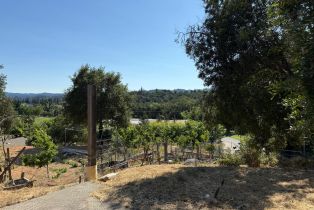 Residential Lot,  Healdsburg avenue, Healdsburg, CA 95448 - 6