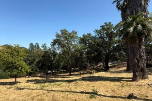 Land, 1584 Healdsburg Ave, Healdsburg, CA  Healdsburg, CA 95448