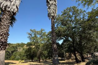 Residential Lot,  Healdsburg avenue, Healdsburg, CA 95448 - 4