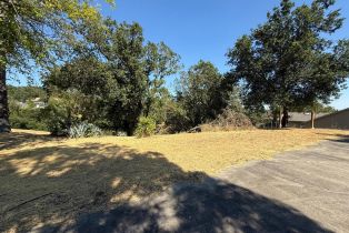 Residential Lot,  Healdsburg avenue, Healdsburg, CA 95448 - 3
