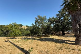 Residential Lot,  Healdsburg avenue, Healdsburg, CA 95448 - 5