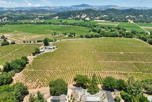 Agriculture,  West Dry Creek road, Healdsburg, CA 95448 - 13