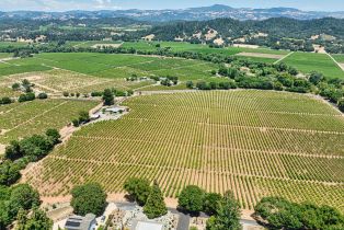 Agriculture,  West Dry Creek road, Healdsburg, CA 95448 - 10