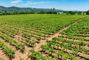 Agriculture,  West Dry Creek road, Healdsburg, CA 95448 - 17