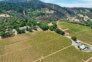 Agriculture,  West Dry Creek road, Healdsburg, CA 95448 - 12