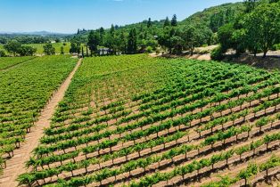 Agriculture,  West Dry Creek road, Healdsburg, CA 95448 - 18