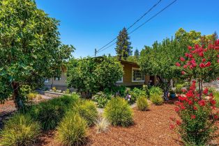 Single Family Residence, Adele street, Calistoga, CA 94515 - 44