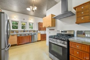 Single Family Residence,  Brown street, Healdsburg, CA 95448 - 12