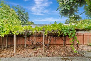 Single Family Residence,  Mitzi drive, Calistoga, CA 94515 - 39