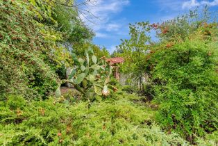 Single Family Residence,  Mitzi drive, Calistoga, CA 94515 - 6
