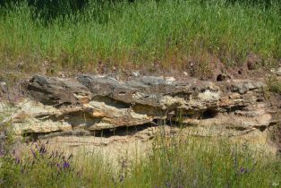 Agriculture,  Monticello road, Napa, CA 94558 - 7