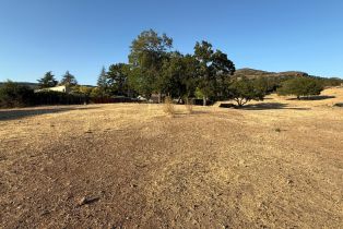 Agriculture,  Monticello road, Napa, CA 94558 - 21