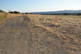 Agriculture,  Monticello road, Napa, CA 94558 - 34