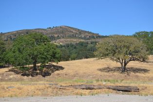 Agriculture,  Monticello road, Napa, CA 94558 - 32