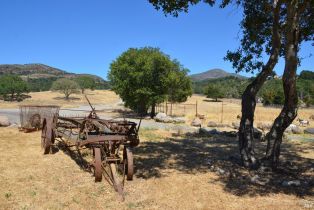 Agriculture,  Monticello road, Napa, CA 94558 - 18