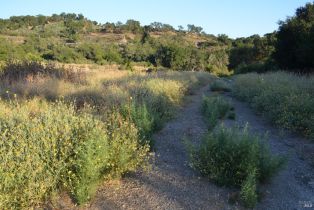 Agriculture,  Monticello road, Napa, CA 94558 - 41