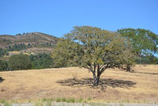 Agriculture,  Monticello road, Napa, CA 94558 - 13