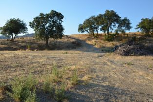 Agriculture,  Monticello road, Napa, CA 94558 - 37