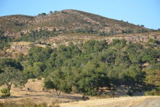 Agriculture,  Monticello road, Napa, CA 94558 - 44
