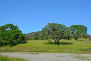 Agriculture,  Monticello road, Napa, CA 94558 - 4