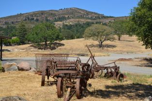 Agriculture,  Monticello road, Napa, CA 94558 - 10