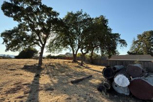 Agriculture,  Monticello road, Napa, CA 94558 - 23