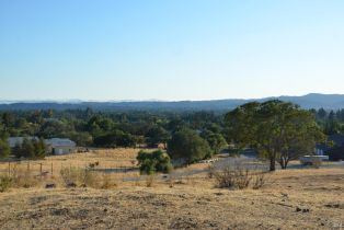 Agriculture,  Monticello road, Napa, CA 94558 - 42