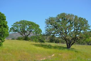 Agriculture,  Monticello road, Napa, CA 94558 - 2