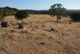 Agriculture,  Monticello road, Napa, CA 94558 - 38