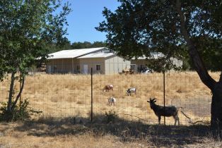 Agriculture,  Monticello road, Napa, CA 94558 - 20
